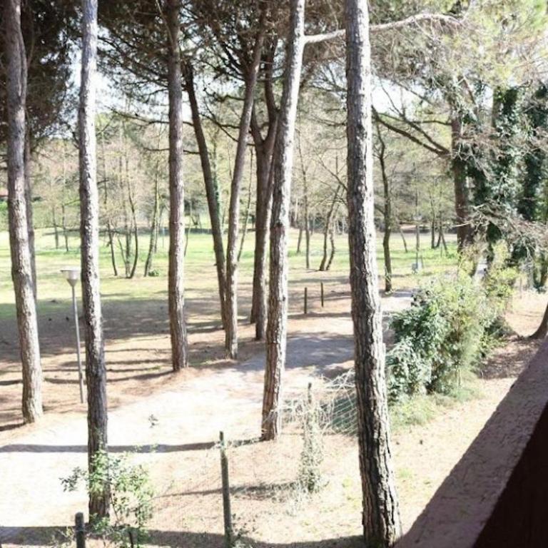 Quiet flat near the beach-Beahost - Apartment - 13