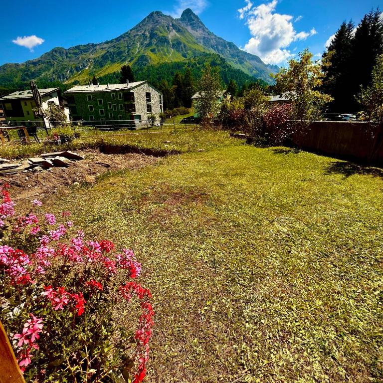 Alpine Studio Apartment - Apartment mit 1 Schlafzimmer - 16