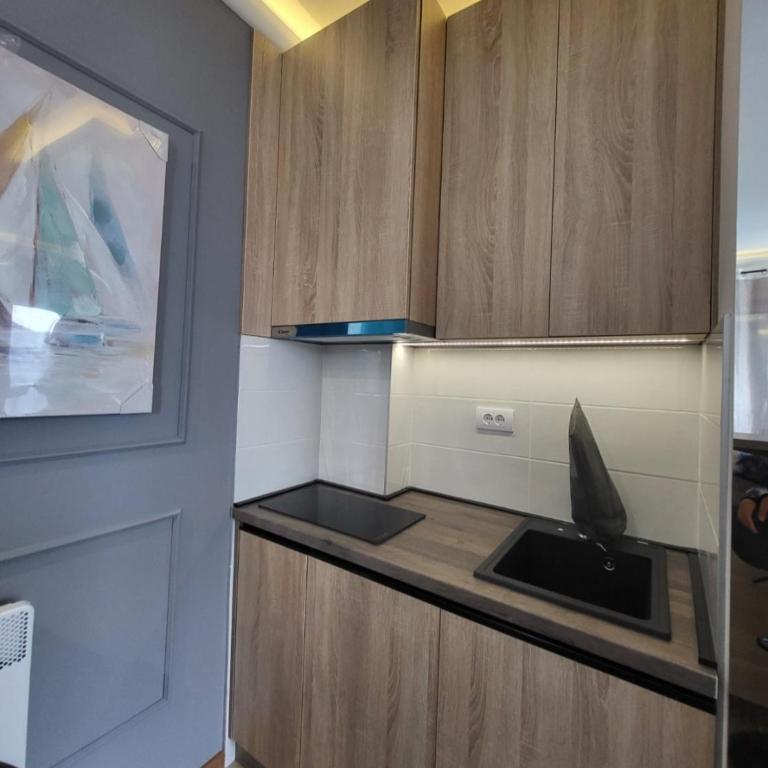 LUX Spa Djurović - One-Bedroom Apartment - 15