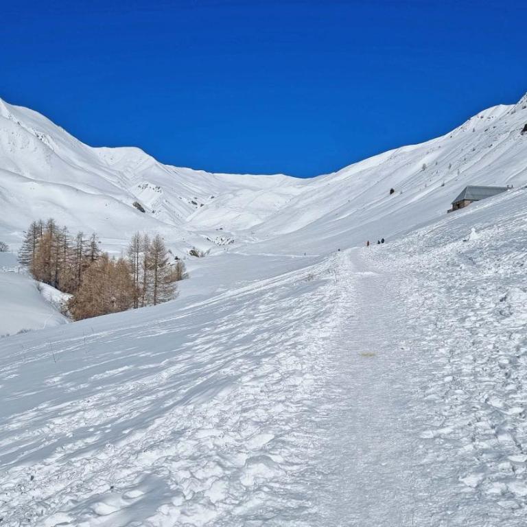 Foux d' Allos Les Etoiles - Appartement - Rez-de-Chaussée - 32