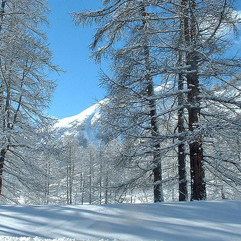 Foux d' Allos Les Etoiles - Appartement - Rez-de-Chaussée - 34