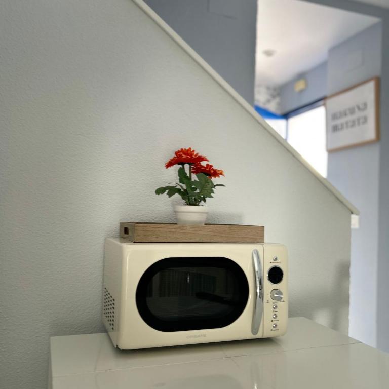 Jacaranda - One-Bedroom Apartment - 6
