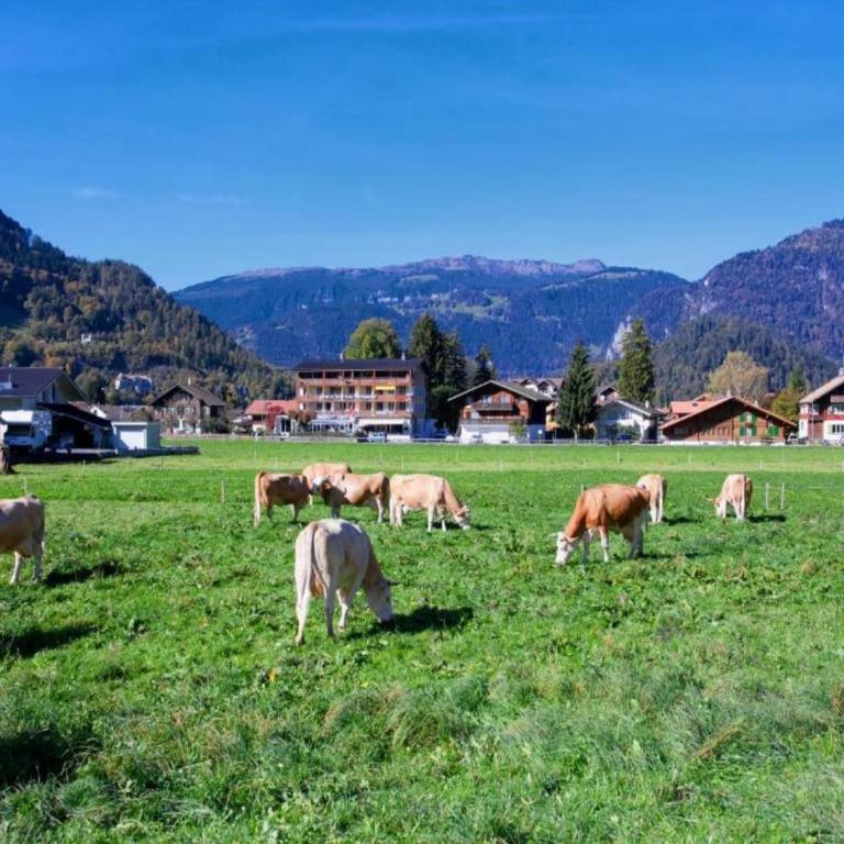 Chalet in Wilderswil with Jungfrau Views - Ferienhaus mit 2 Schlafzimmern - 25