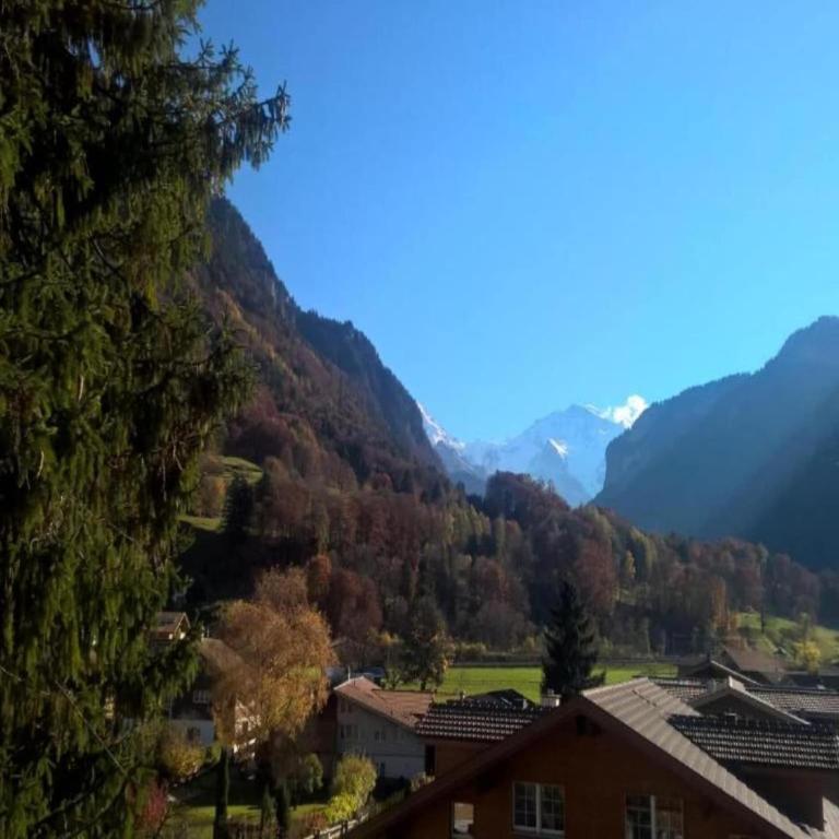 Chalet in Wilderswil with Jungfrau Views - Ferienhaus mit 2 Schlafzimmern - 28
