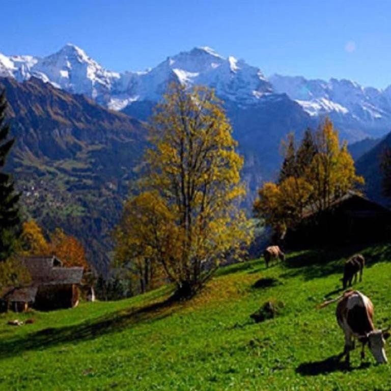 Chalet in Wilderswil with Jungfrau Views - Ferienhaus mit 2 Schlafzimmern - 37