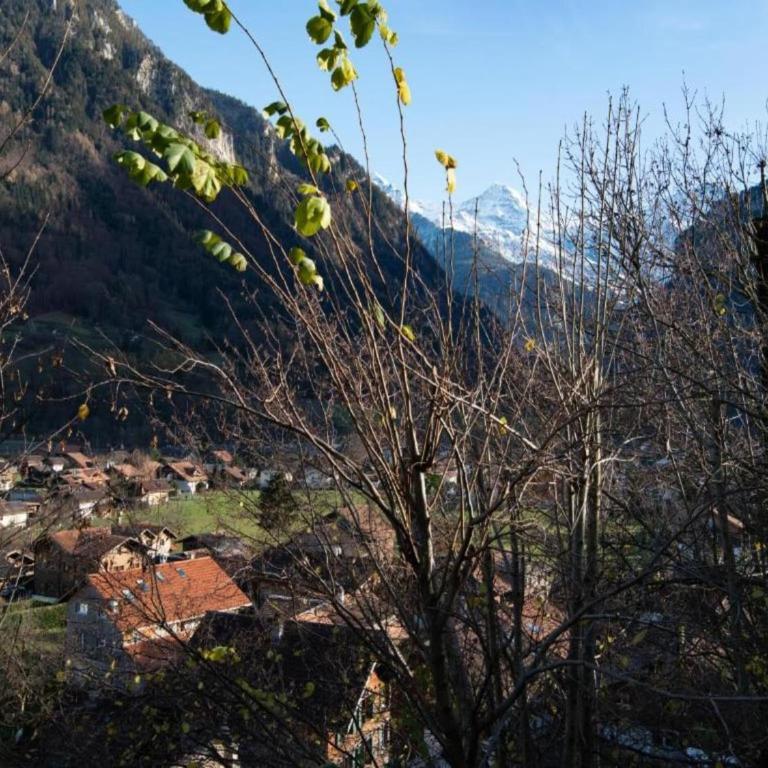 Chalet in Wilderswil with Jungfrau Views - Ferienhaus mit 2 Schlafzimmern - 20