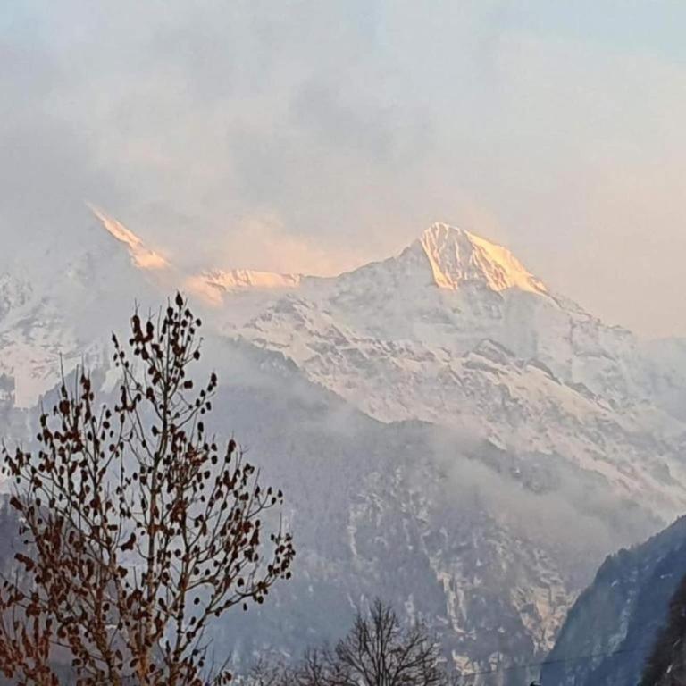 Chalet in Wilderswil with Jungfrau Views - Ferienhaus mit 2 Schlafzimmern - 41