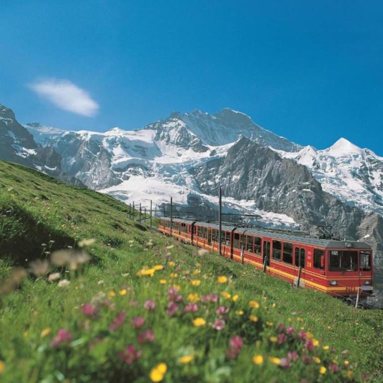 Chalet in Wilderswil with Jungfrau Views - Ferienhaus mit 2 Schlafzimmern - 36
