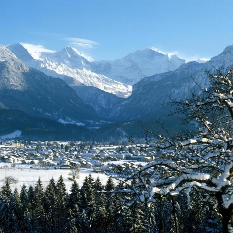 Chalet in Wilderswil with Jungfrau Views - Ferienhaus mit 2 Schlafzimmern - 39