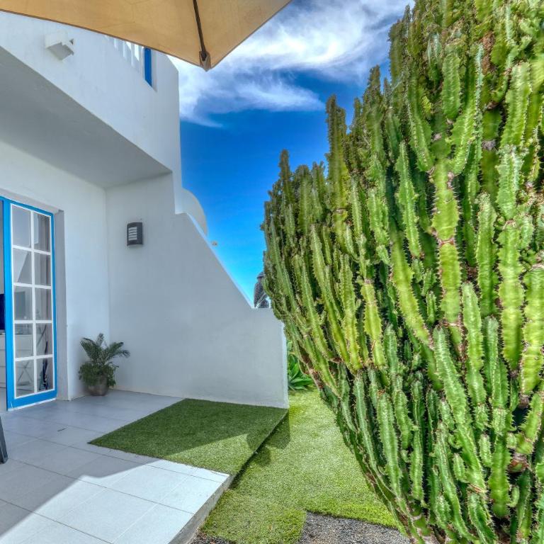 Casa Bella - Shared Pool and Terrace By Lanzarote Vacation Homes - Casa con 1 dormitorio - 1