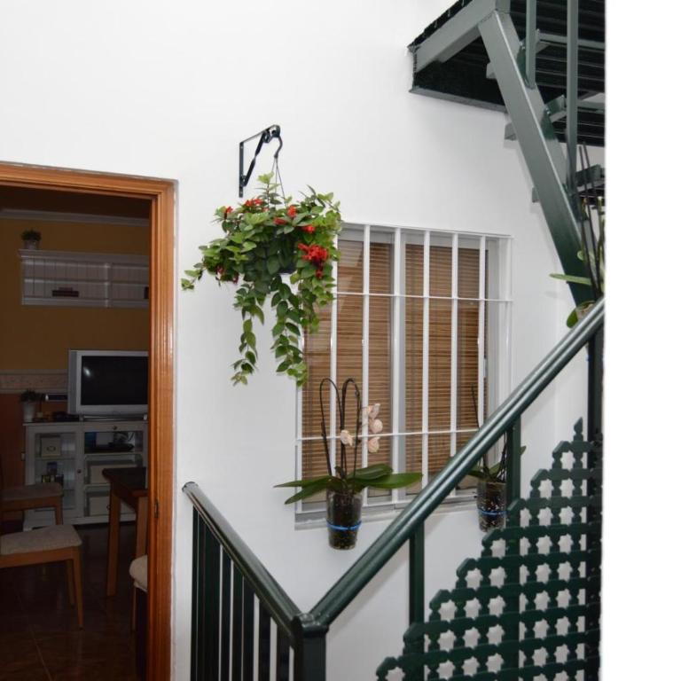 Al pie del Puente Romano - Maison 2 Chambres - 16