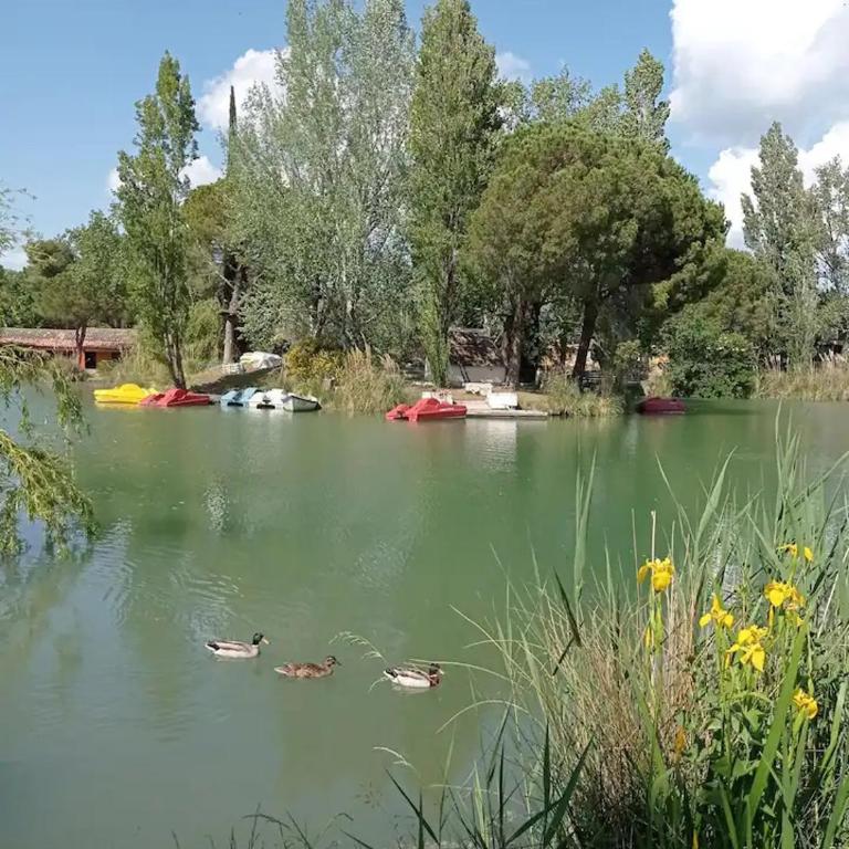 COCON en Camargue - Appartement 3 Chambres - 16