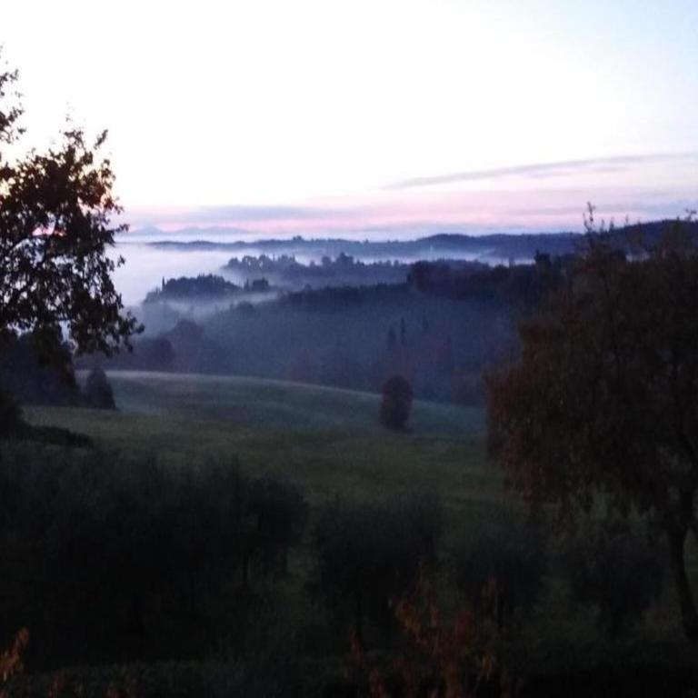 Farmhouse Montepulciano near Vineyards Pool - Casa Vacanze con 1 Camera da Letto - 35