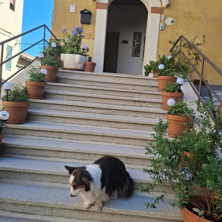 Villa Viola - Appartamento - 15
