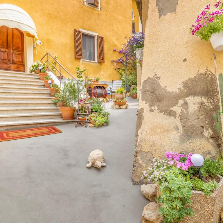 Villa Viola - Appartamento - 15