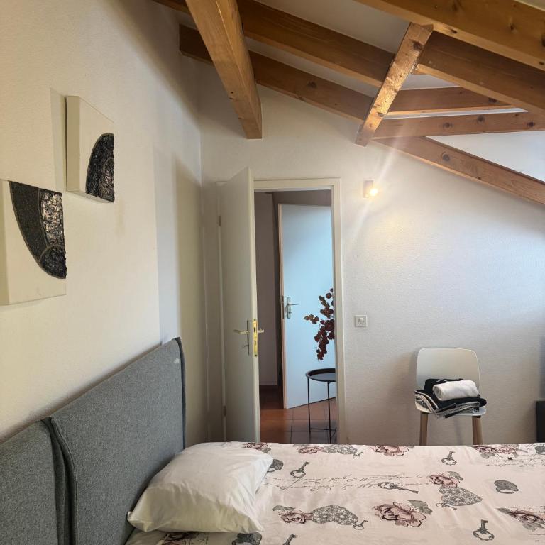 Special apartment in Ascona - Appartamento con 1 Camera da Letto - 21