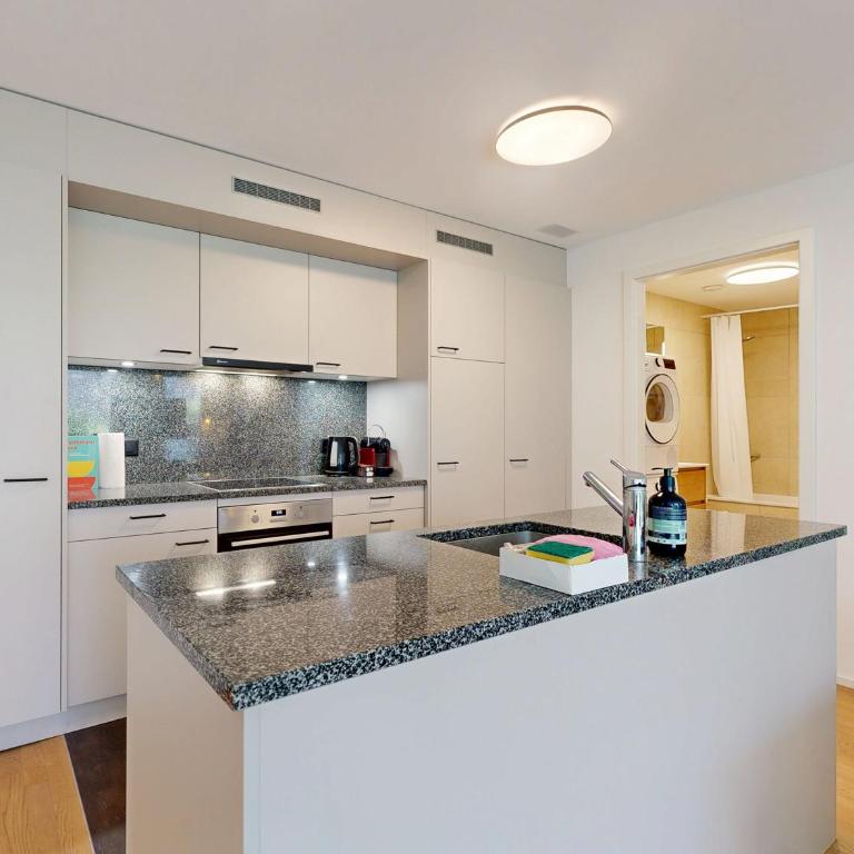 Bright flat with terrace in Sierre - Apartment mit 1 Schlafzimmer - 7