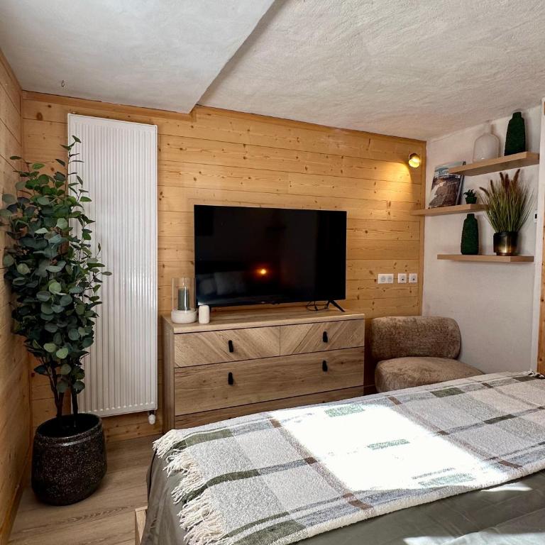 Appartement l'edelweiss - Apartamento de 1 dormitorio - 1