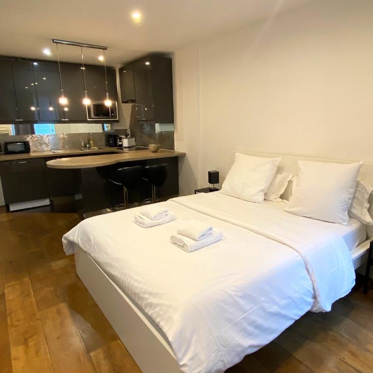 Maison le Bac Apartments - Studio Standard - 5