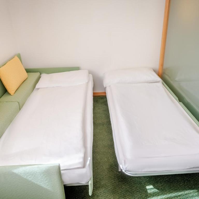 Hotel Alpine Mugon - Vierbettzimmer mit Zugang zum Spa - 5