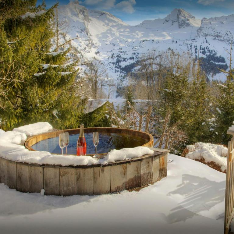 Chalet Fernuy - OVO Network - Chalet - 3