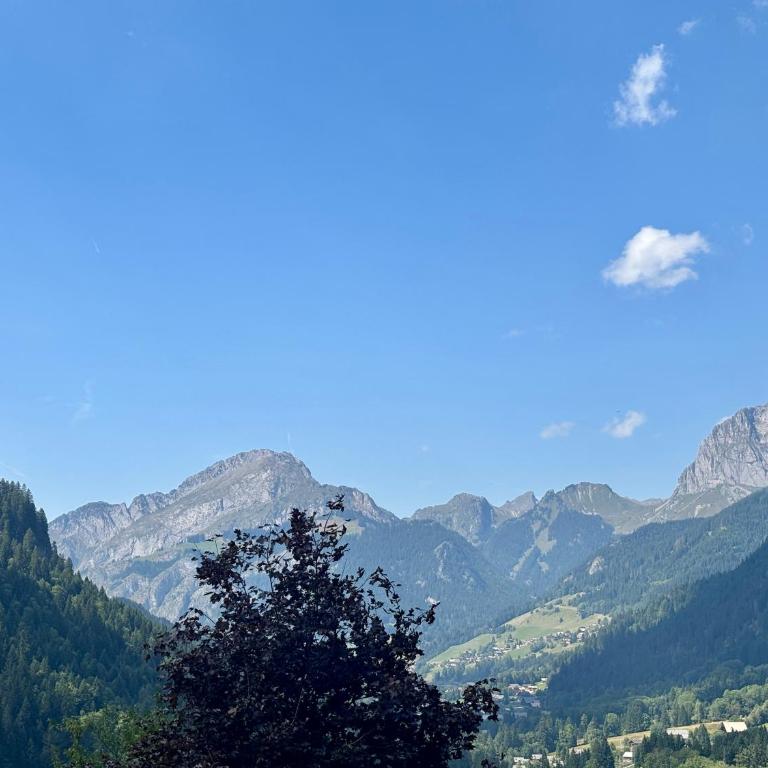 Soldanelles A02 - Votre T3 et Coin Montagne au Cœur de Châtel - Apartment - 27