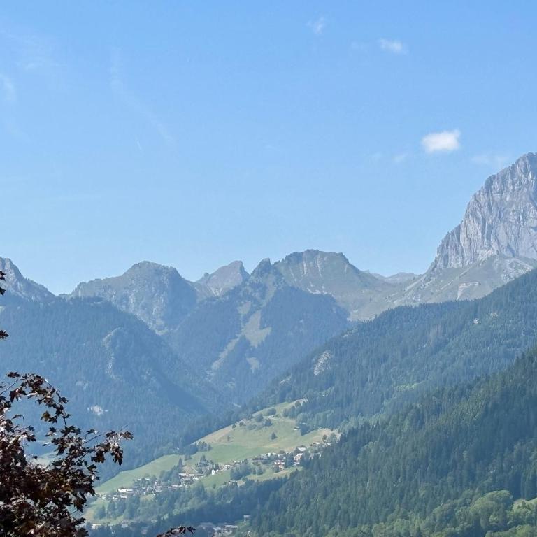 Soldanelles A02 - Votre T3 et Coin Montagne au Cœur de Châtel - Apartment - 29