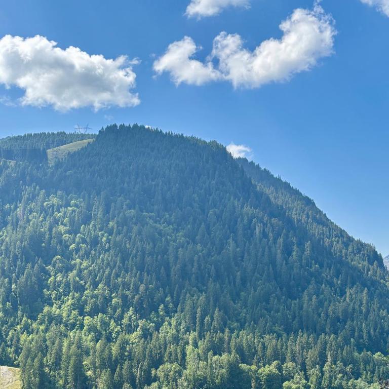 Soldanelles A02 - Votre T3 et Coin Montagne au Cœur de Châtel - Apartment - 28
