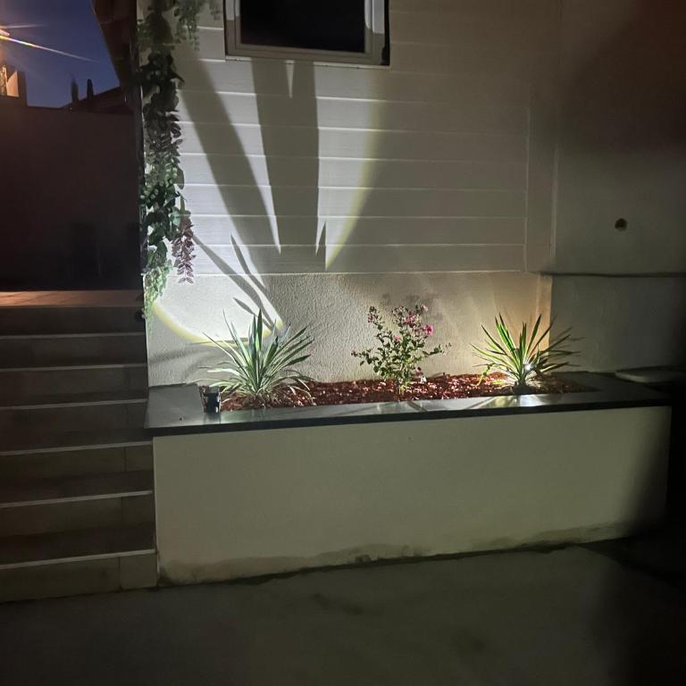 Le patio naturel - Maison 1 Chambre - 3