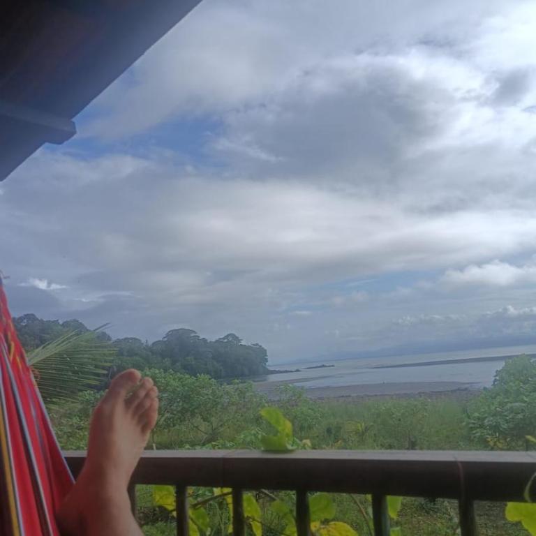 casa guayaba lodge - Casa de 2 dormitorios - 37