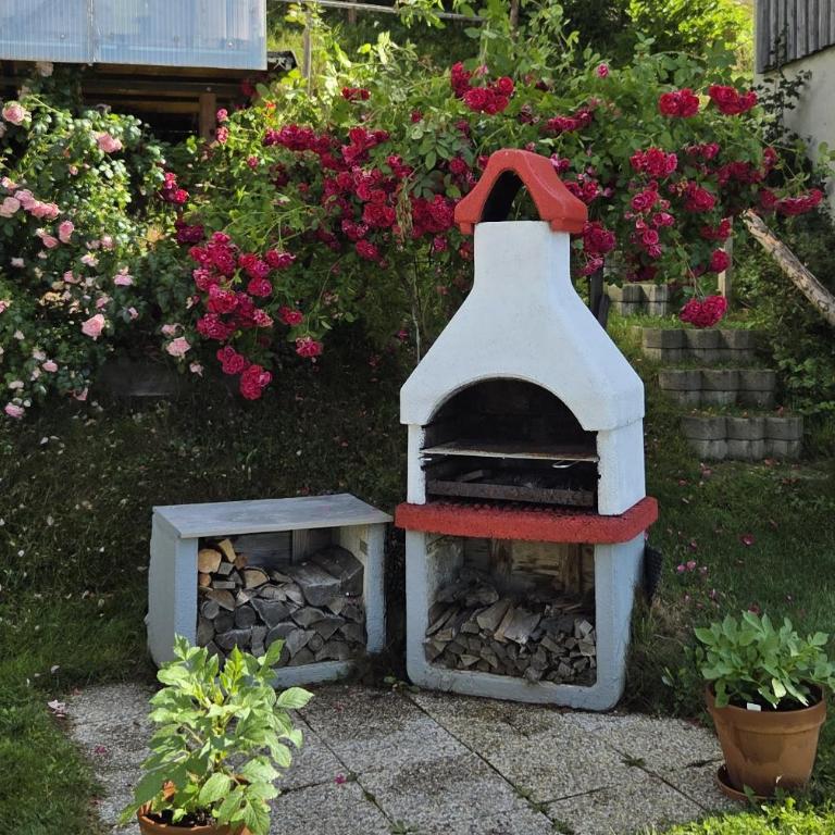 Ferienhaus Ofenluger in idylischer Lage inkl Garage und Griller - Ferienhaus - 9