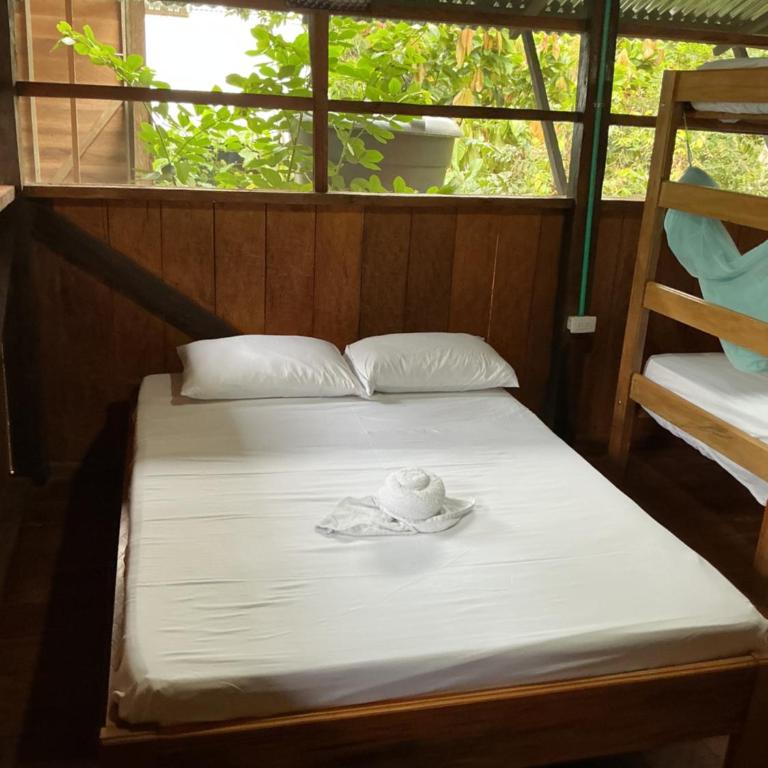 Cabañas Mashcopiro Amazonas - Habitación Doble con baño privado - 1