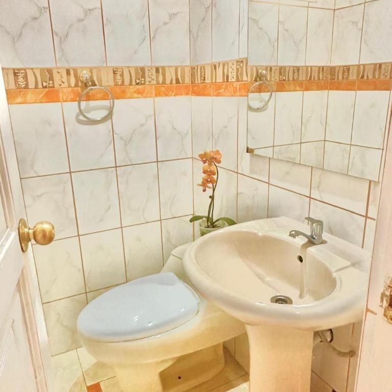Golden Andean Retreat - Three-Bedroom Apartment - 5