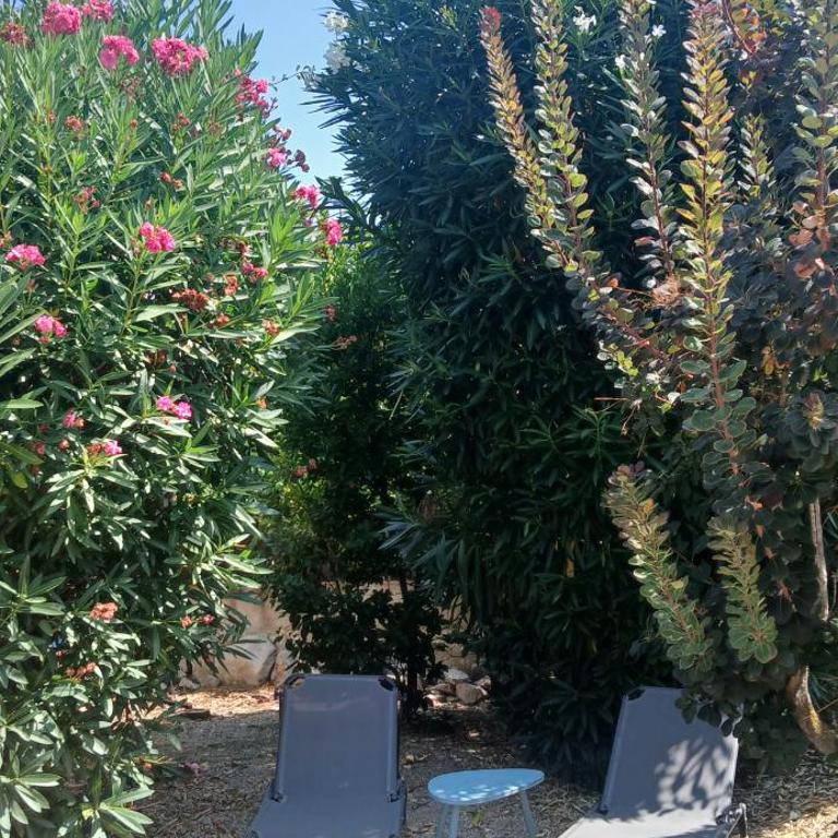 Villa DULCE VIDA - Two-Bedroom House - 7