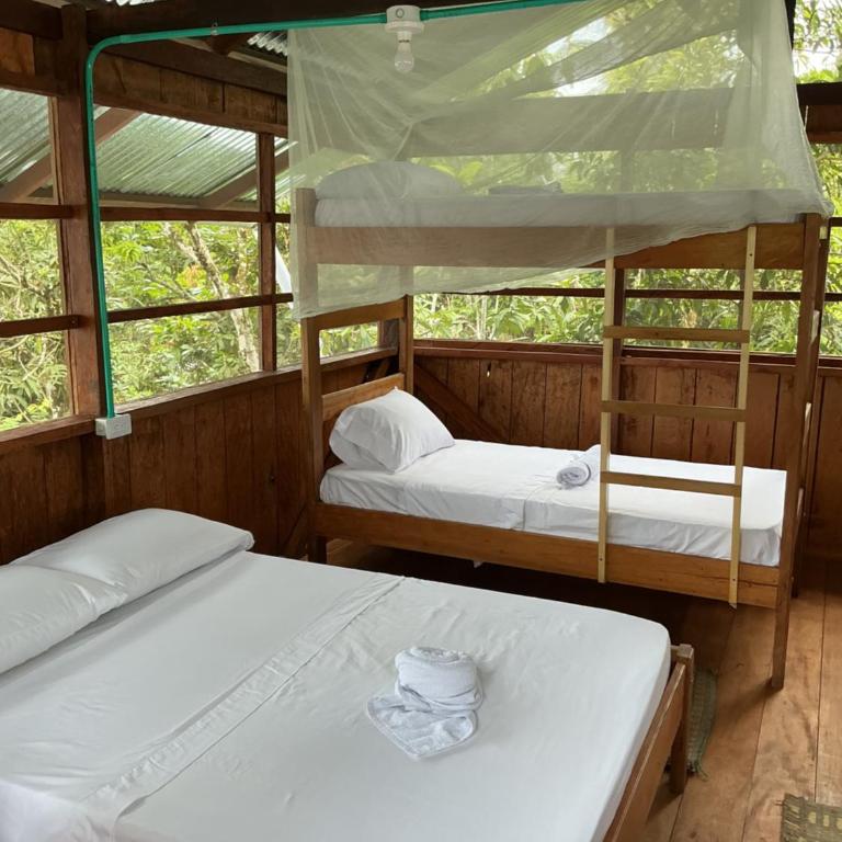 Cabañas Mashcopiro Amazonas - Habitación Familiar - 4