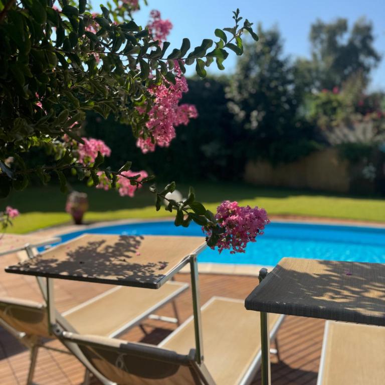 Green paradise with Etna view - Casa con 2 Camere da Letto - 10