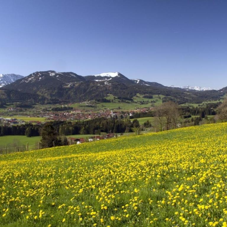 Ferienwohnung Heublume, Ferienhof Lochbihler, WertachAllgäu - Apartment - 9
