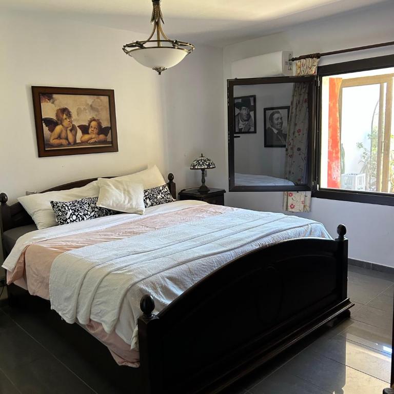 SunClub 255 - Apartamento de 1 dormitorio - 19