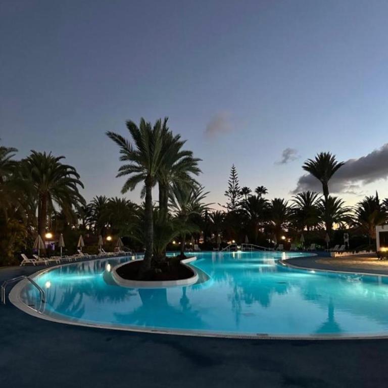 SunClub 255 - Apartamento de 1 dormitorio - 2