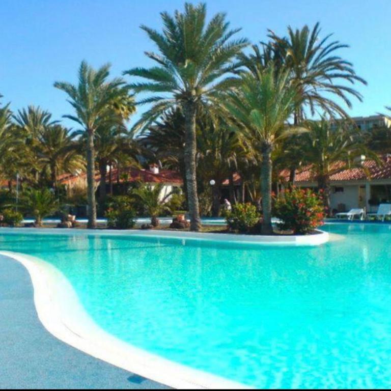 SunClub 255 - Apartamento de 1 dormitorio - 1