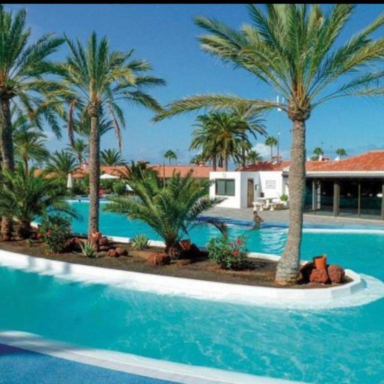 SunClub 255 - Apartamento de 1 dormitorio - 3