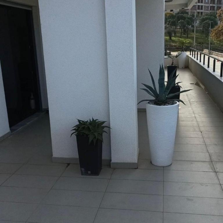 Ars Dobra Voda - One-Bedroom Apartment - 18
