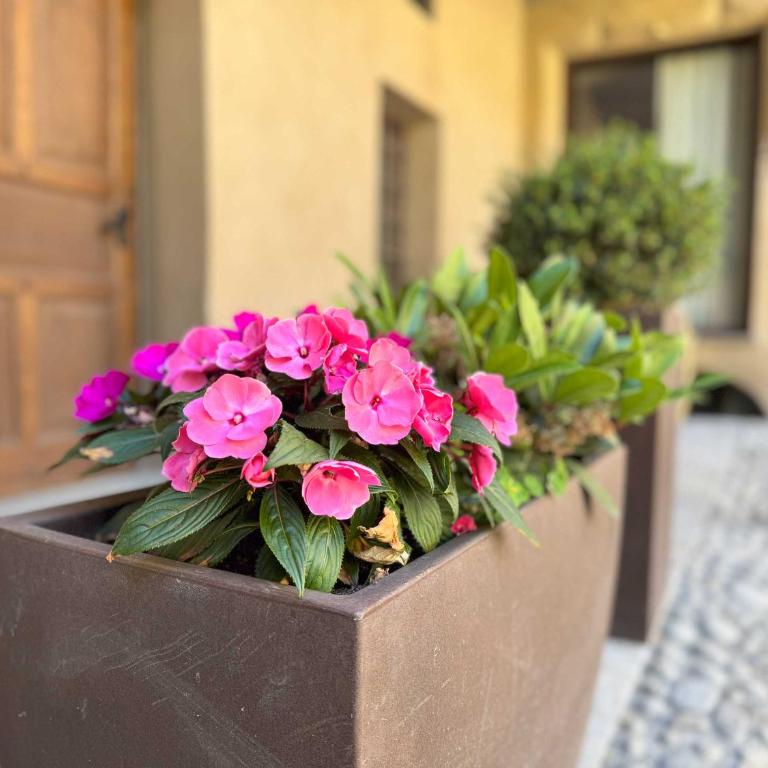 Casa di Sant'Anselmo Aosta - Il Parco - Appartamento con 1 Camera da Letto - 22
