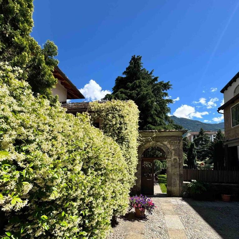 Casa di Sant'Anselmo Aosta - Il Parco - Appartamento con 1 Camera da Letto - 23
