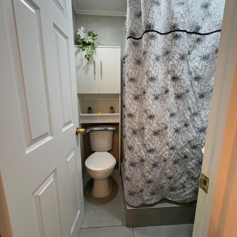 Mini Departamento - One-Bedroom Apartment - 3