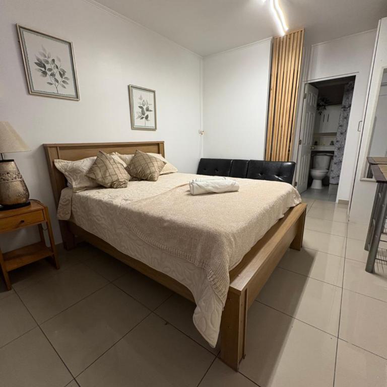Mini Departamento - One-Bedroom Apartment - 4