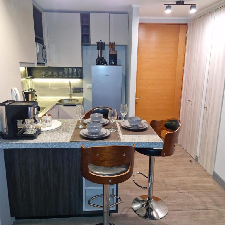 Excelente departamento en Santiago, Chile - One-Bedroom Apartment - 13