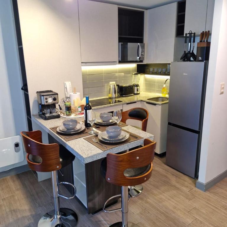 Excelente departamento en Santiago, Chile - One-Bedroom Apartment - 14