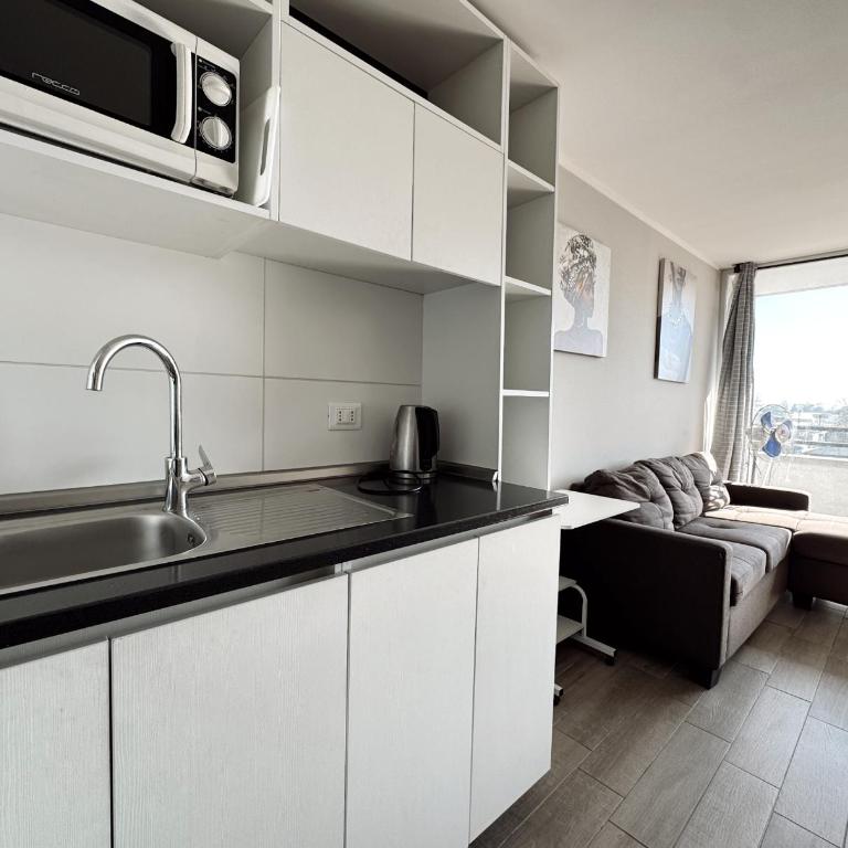 Amplio departamento de una habitación, a pasos del metro Gruta de lourdes - Apartamento de 1 dormitorio - 6