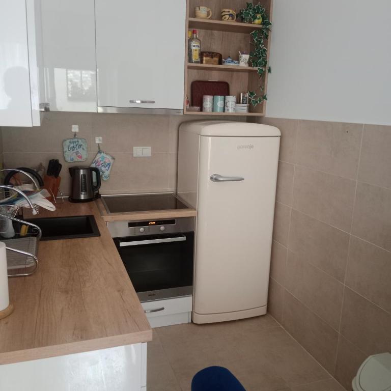 Kraljica Spa - Apartman sa 1 Spavaćom Sobom - 5